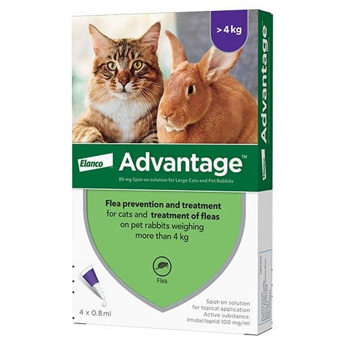 Advantage 80 Cat/ Rabbit
