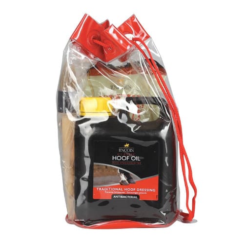 Lincoln Gift Bag