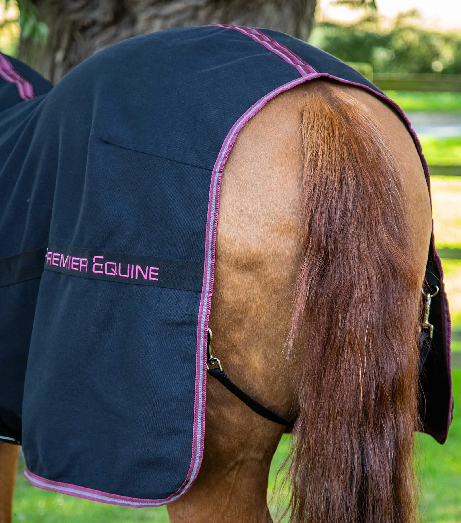 Premier Equine - Barrasso Stable Sheet Black - Various Sizes - Image 2