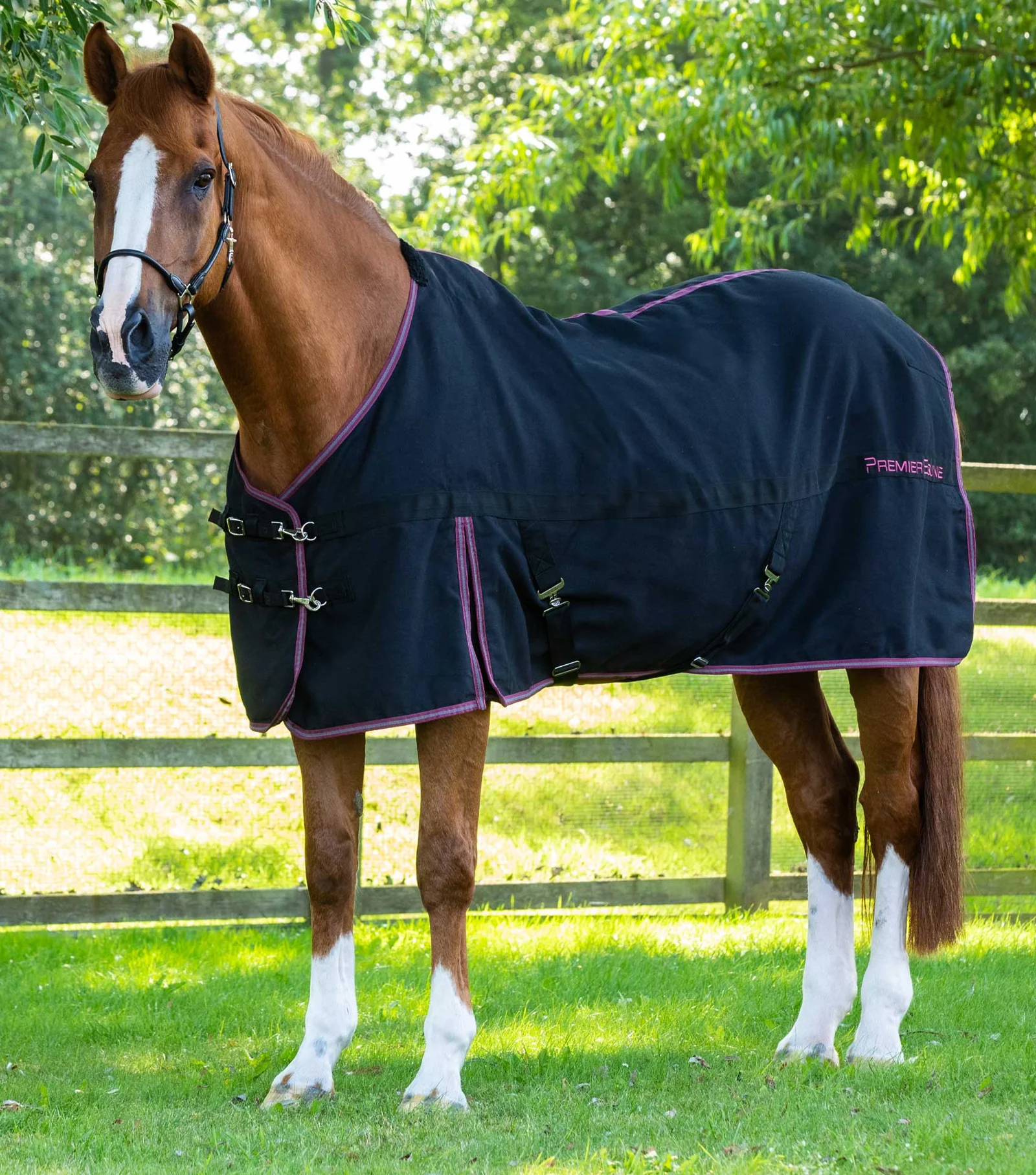 Premier Equine - Barrasso Stable Sheet Black - Various Sizes