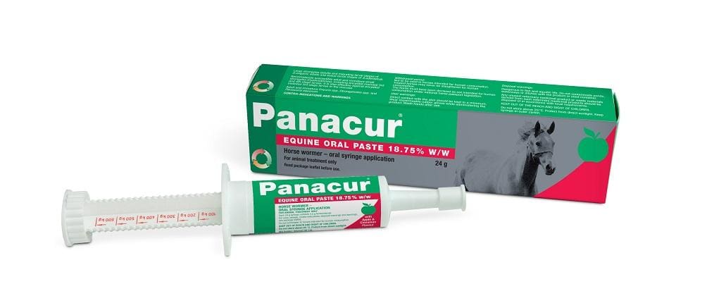 Panacur Equine Oral Paste 18.75%