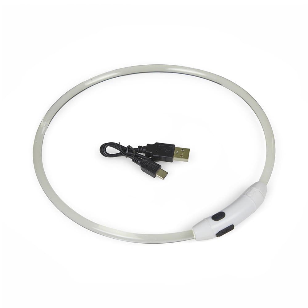 Petface - Outdoor Paws USB Rechargeable LED Ring Dog Collar - Image 4