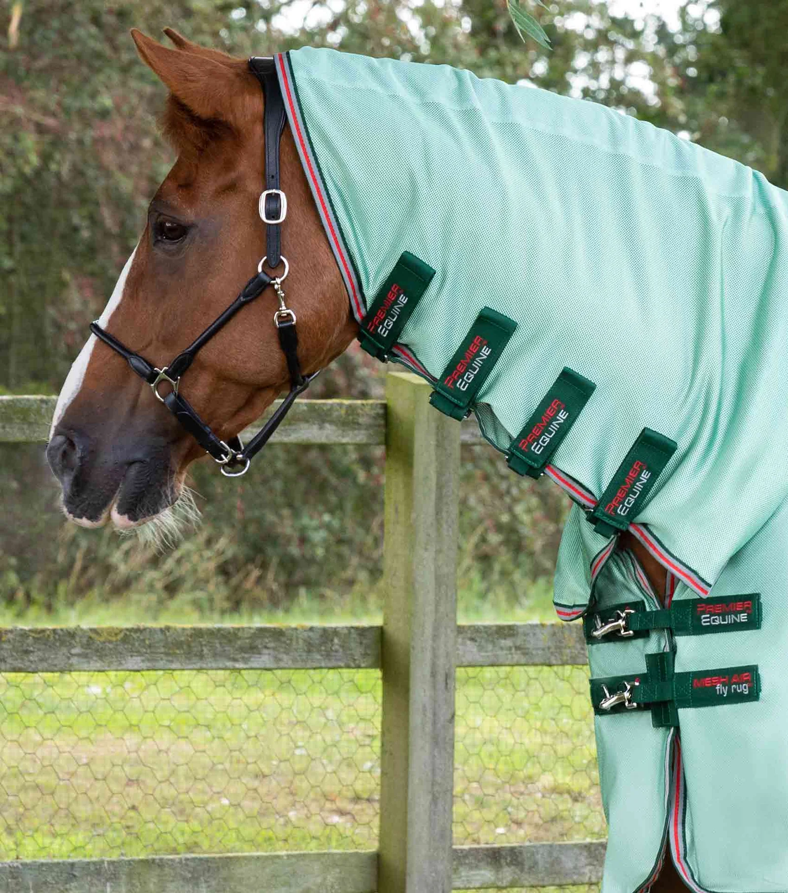 Premier Equine - Combo Mesh Air Fly Rug with Surcingles Mint Green - Various Sizes - Image 7