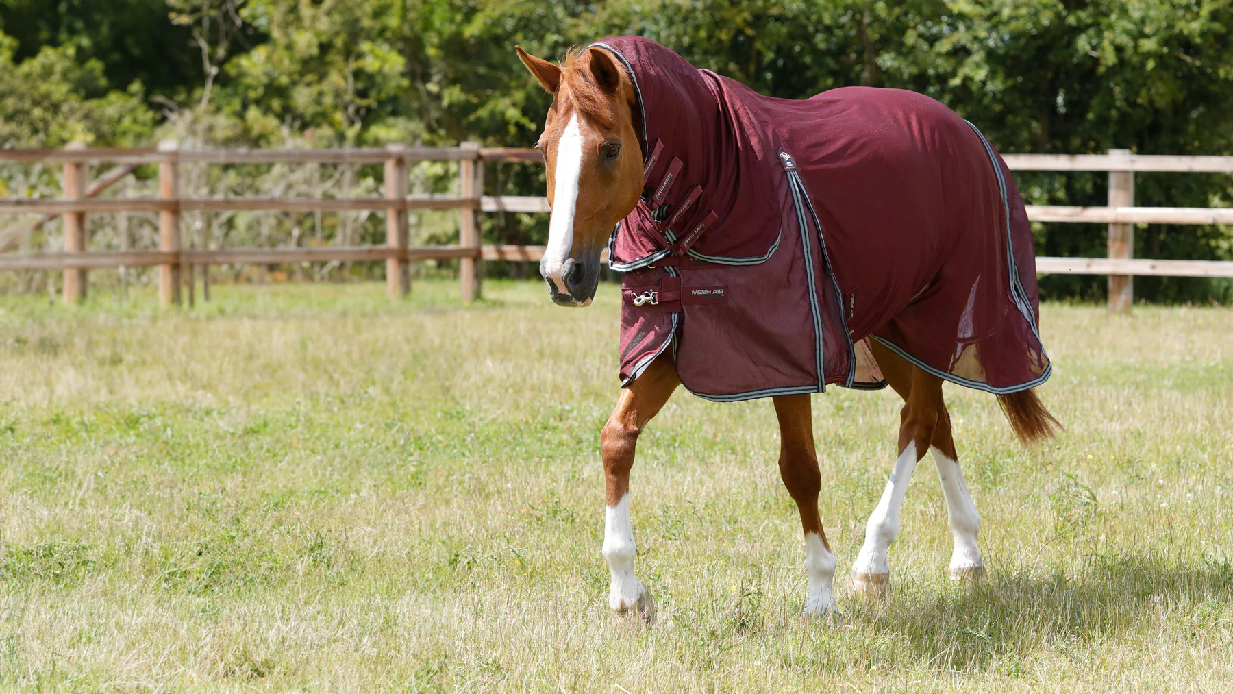 Premier Equine - Combo Mesh Air Fly Rug with Surcingles Mint Green - Various Sizes - Image 2