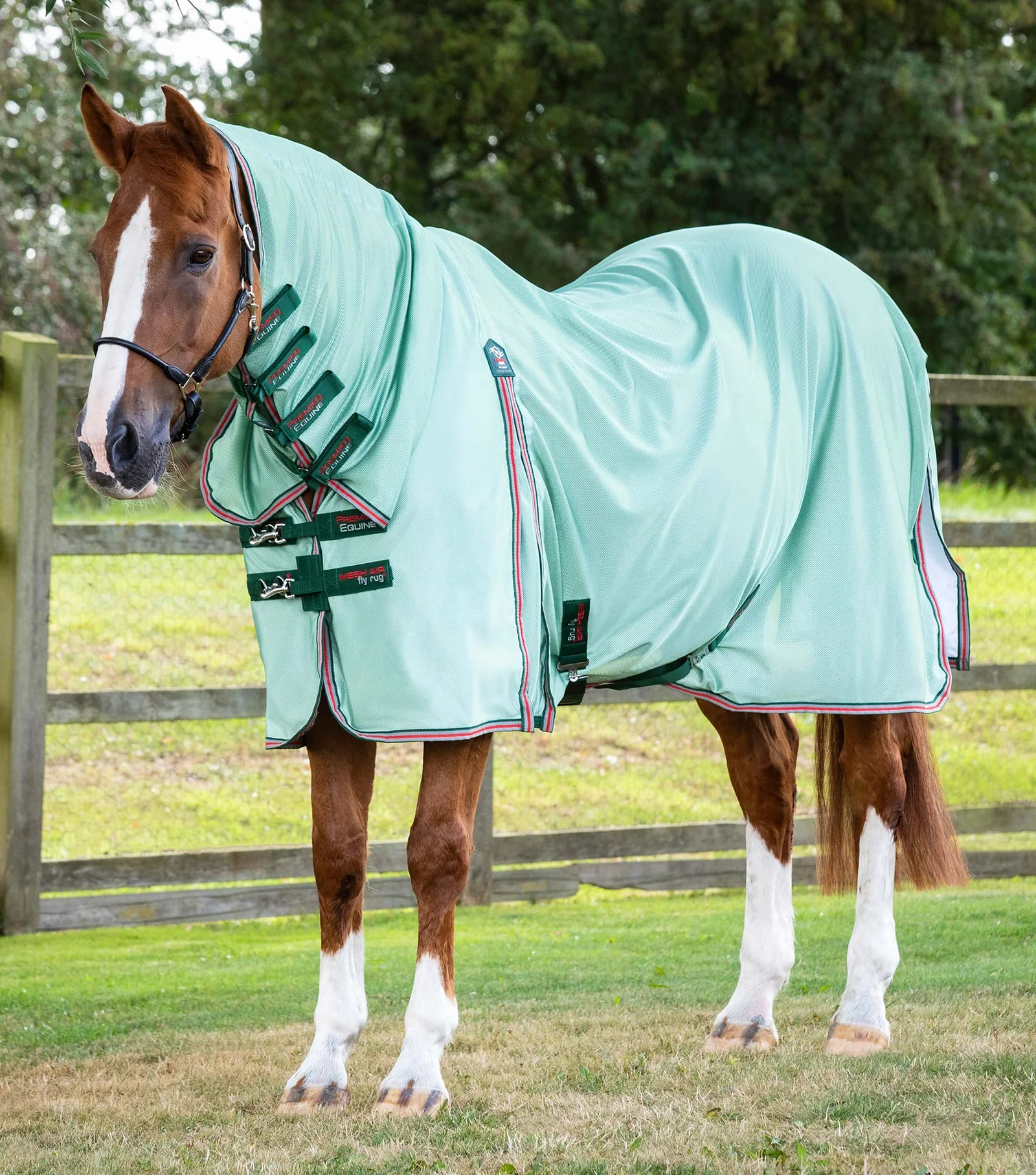 Premier Equine - Combo Mesh Air Fly Rug with Surcingles Mint Green - Various Sizes