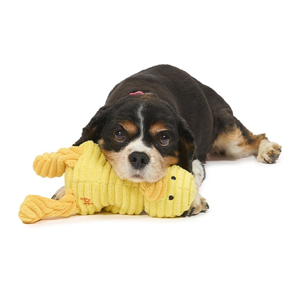 LITTLE PETFACE DENNY DUCKLING PLUSH DOG TOY - Image 4