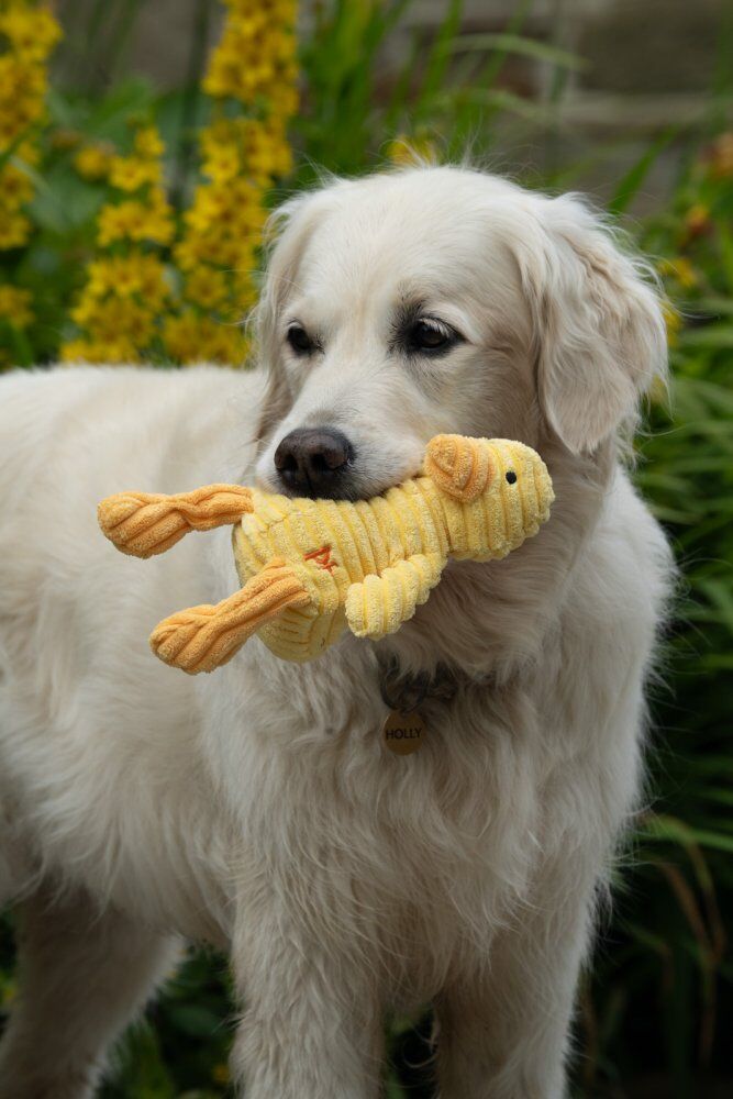 LITTLE PETFACE DENNY DUCKLING PLUSH DOG TOY - Image 6