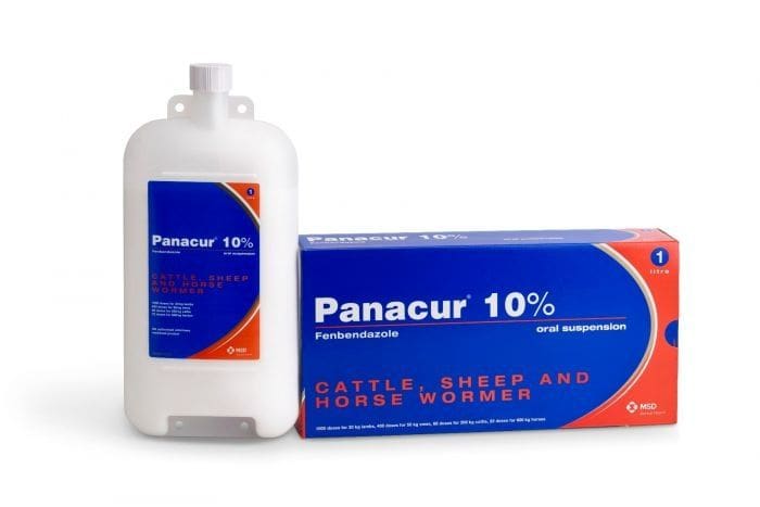 Panacur 10% Cattle, Sheep & Horses